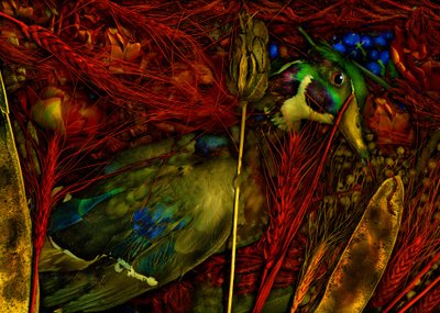  da Antonius Antonius