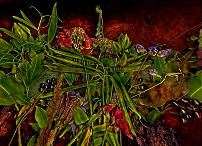  da Antonius Antonius