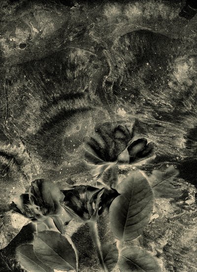  da Antonius Antonius