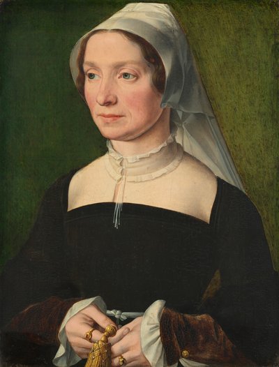 Moglie di un membro della famiglia de Hondecoeter da Antwerp 16th Century