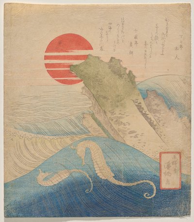 Cavallucci marini davanti a un nuovo anno che sorge da Aoigaoka Keisei