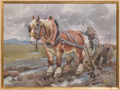 Lavoro nei campi da Arcangelo Salvarani