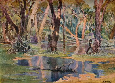 Quindanning Pool da Archibald Bertram Webb
