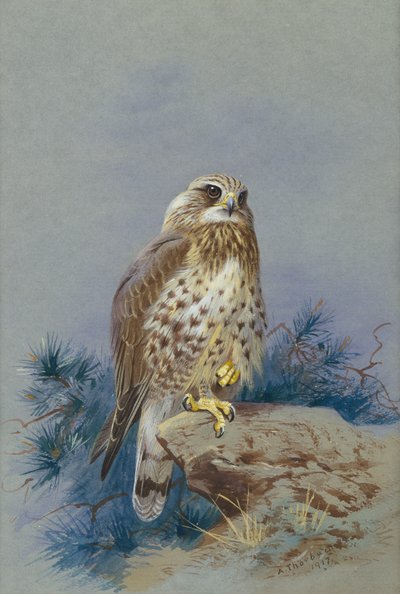 Poiana delle steppe da Archibald Thorburn