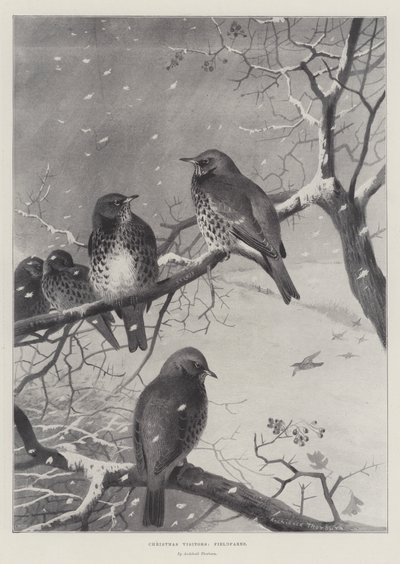 Visitatori di Natale, cesene da Archibald Thorburn