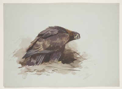 Aquila reale, c.1915 da Archibald Thorburn