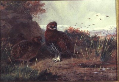 Grouse in un Paesaggio Invernale da Archibald Thorburn