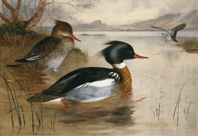 Smerghi, sul Loch Maree da Archibald Thorburn