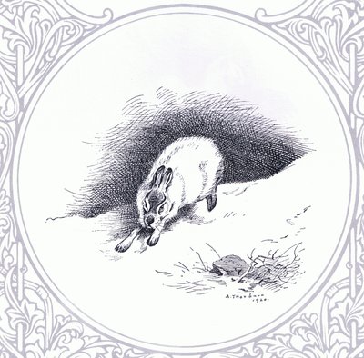 Lepre di Montagna, pub. da Book Club Associates da Archibald Thorburn