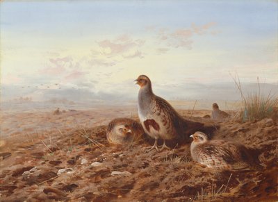 Pernici tra le stoppie da Archibald Thorburn
