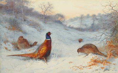 Fagiano nella neve da Archibald Thorburn