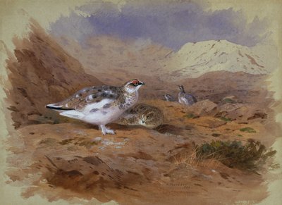 Pernice bianca in un paesaggio delle Highlands da Archibald Thorburn