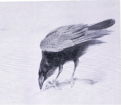 Corvo, pub. da Book Club Associates da Archibald Thorburn