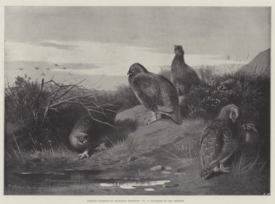 Soggetti sportivi, alba del dodicesimo giorno da Archibald Thorburn