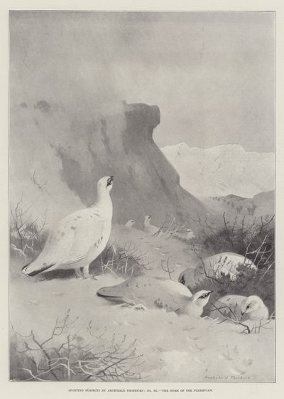 Soggetti sportivi, la casa del pernice bianca da Archibald Thorburn