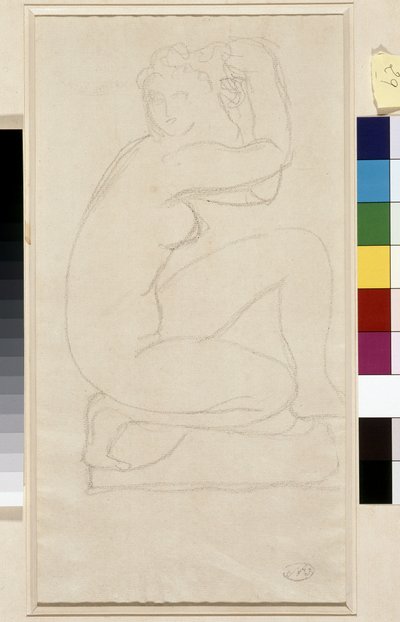 Capelli nudi. Disegno di Aristide Maillol. Piombo su carta. Dim: 34x18,5cm. Museo Cantini, Marsiglia da Aristide Maillol