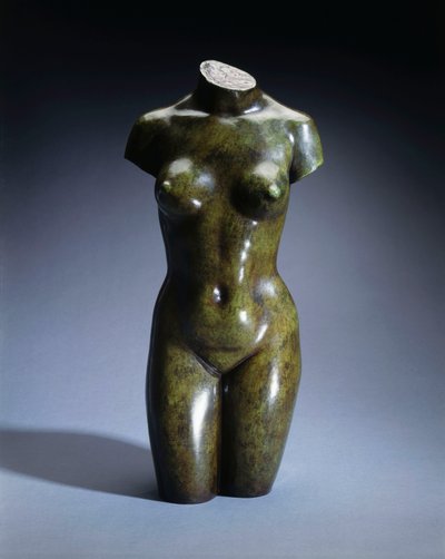 Torso di una giovane donna da Aristide Maillol