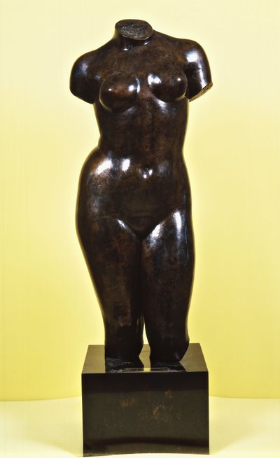 Venere; Torso di Venere, c.1920 da Aristide Maillol