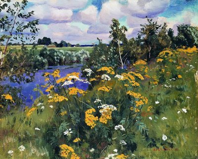 Camomille dei campi, 1922 da Arkadij Aleksandrovic Rylov