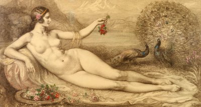 Giunone da Armand Point