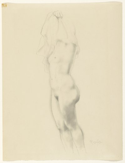 Nudo femminile in piedi da Armand Rassenfosse