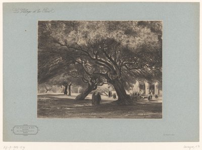 Querce presso la chiesa di Cimiez da Armand Theophile Cassagne