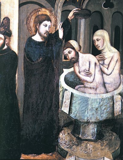 Pala d