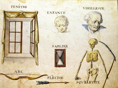 Illustrazioni da 