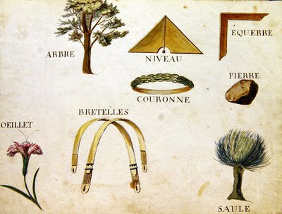Illustrazioni da 