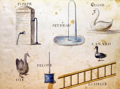 Illustrazioni da 