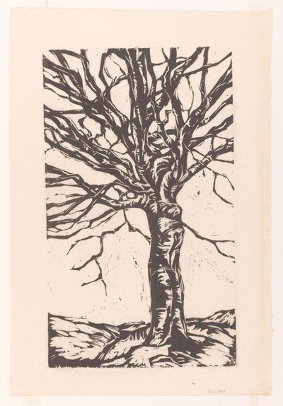 Albero spoglio da Arnold Pijpers (signed by artist)