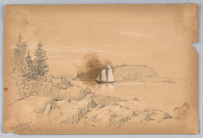 Isola del Porcospino Calvo da Arnold William Brunner