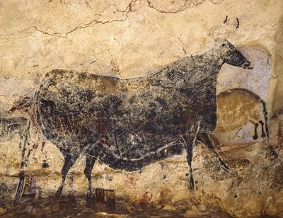Mucca nera da Art of the Upper Paleolithic.