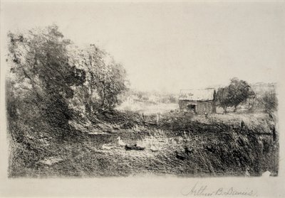 Stagno delle anatre da Arthur B. Davies