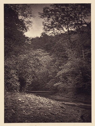 [scena della foresta] da Arthur Brown