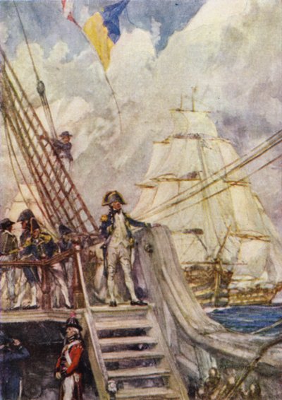 Nelson all
