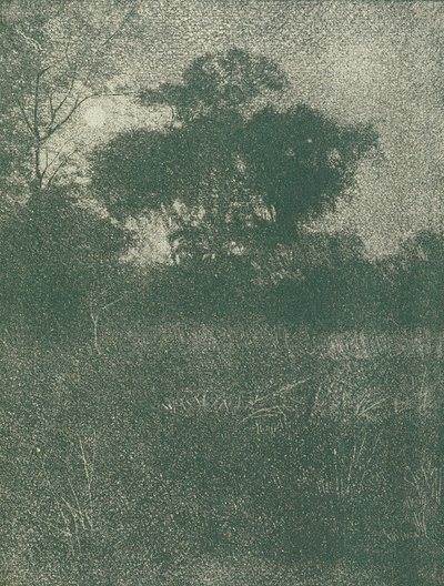 Chiaro di luna da Arthur E. Becher