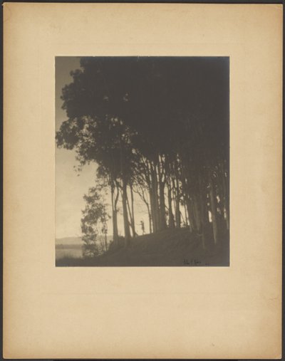 Ninfa danzante da Arthur F. Kales