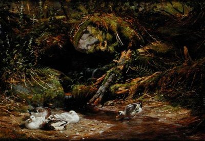Anatre alla sorgente da Arthur Fitzwilliam Tait