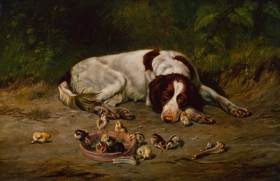 Bravo Cagnolino da Arthur Fitzwilliam Tait