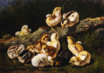 Piccoli animali domestici da Arthur Fitzwilliam Tait