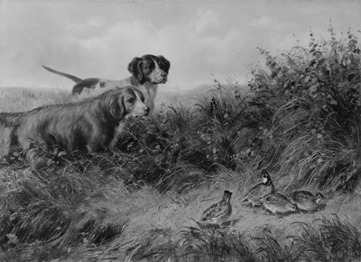 Sulle punte, 1874 da Arthur Fitzwilliam Tait
