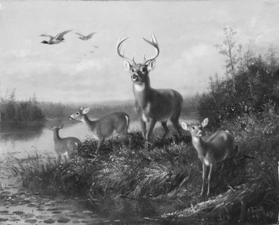 In Allerta, Cervo e Tre Daini, 1871 da Arthur Fitzwilliam Tait