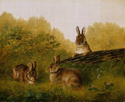 Conigli su un tronco, 1897 da Arthur Fitzwilliam Tait