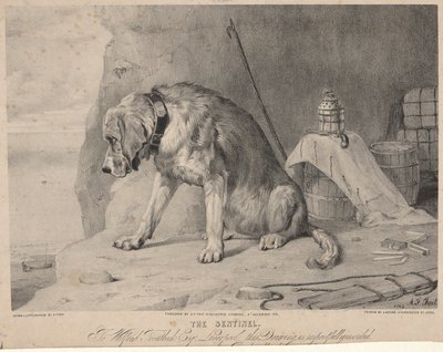 La Sentinella da Arthur Fitzwilliam Tait
