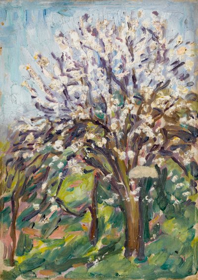 Fioritura di mandorli su un pendio da Arthur Haythorne Studd