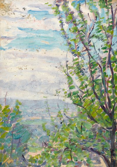 Cielo blu e nuvole con rami di alberi da frutto in primo piano da Arthur Haythorne Studd