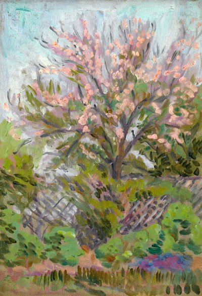 Fioritura di ciliegi con recinzione a traliccio sotto da Arthur Haythorne Studd