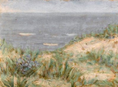 Vista sul mare con dune, erba marina in fiore da Arthur Haythorne Studd