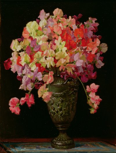 Piselli odorosi, Festa d